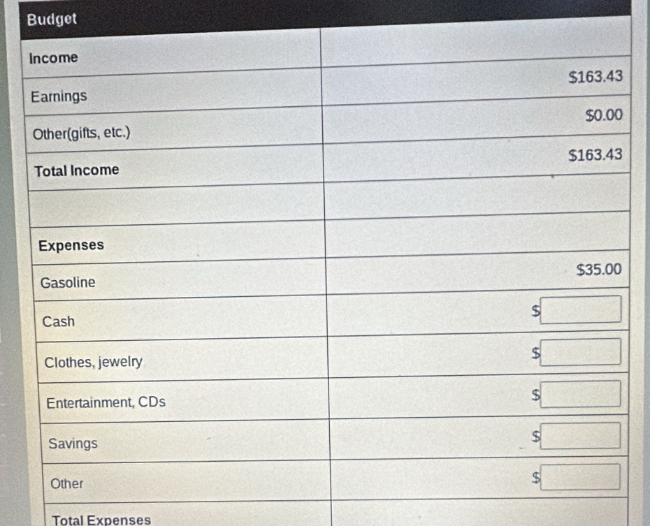 Budget 
Total Expenses