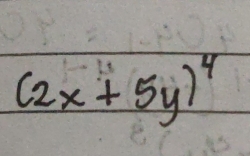 (2x+5y)^4