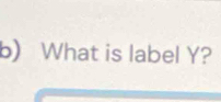 What is label Y?