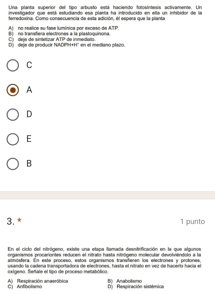 Una planta superior del tipo arbusto está haciendo fotosíntesis activamente. Un
investigador que está estudiando esa planta ha introducido en ella un inhibidor de la
ferredoxina. Como consecuencia de esta adición, él espera que la planta
A) no realice su fase lumínica por exceso de ATP.
B) no transfiera electrones a la plastoquinona.
C) deje de sintetizar ATP de inmediato.
D) deje de producir NADPH+H * en el mediano plazo.
C
A
D
E
B
3. * 1 punto
En el ciclo del nitrógeno, existe una etapa llamada desnitrificación en la que algunos
organismos procariontes reducen el nitrato hasta nitrógeno molecular devolviéndolo a la
atmósfera. En este proceso, estos organismos transfieren los electrones y protones,
usando la cadena transportadora de electrones, hasta el nitrato en vez de hacerlo hacia el
oxígeno. Señale el tipo de proceso metabólico.
A) Respiración anaeróbica B) Anabolismo
C) Anfibolismo D) Respiración sistémica