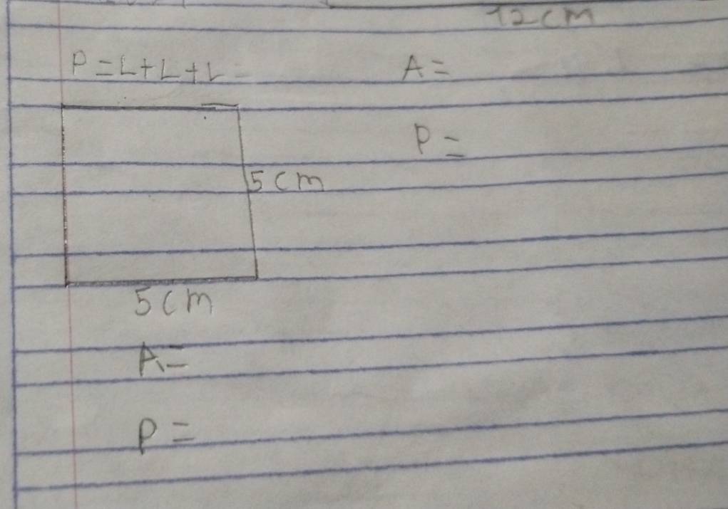 1ocm
P=L+L+L=
A=
P=
5cm
5cm
A=
P=