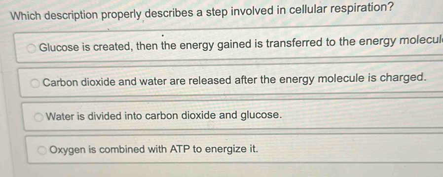 Which description properly describes a step involved in cellular respiration?
Glucose is created, then the energy gained is transferred to the energy molecul
Carbon dioxide and water are released after the energy molecule is charged.
Water is divided into carbon dioxide and glucose.
Oxygen is combined with ATP to energize it.