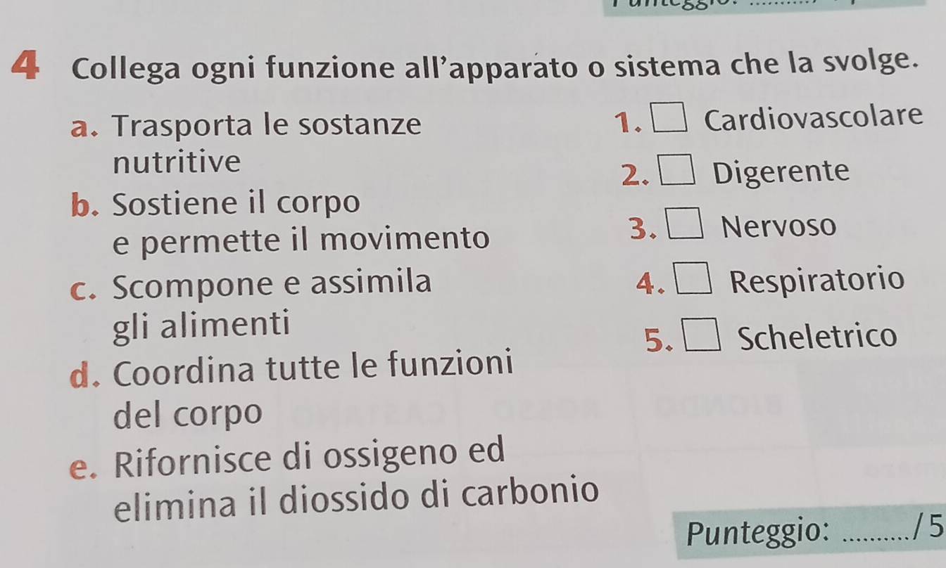 Collega ogni funzione all’apparato o sistema che la svolge.
a. Trasporta le sostanze 1. Cardiovascolare
nutritive
2. Digerente
b. Sostiene il corpo
e permette il movimento
3. Nervoso
c. Scompone e assimila 4. Respiratorio
gli alimenti
5. Scheletrico
d. Coordina tutte le funzioni
del corpo
e. Rifornisce di ossigeno ed
elimina il diossido di carbonio
Punteggio: _/ 5