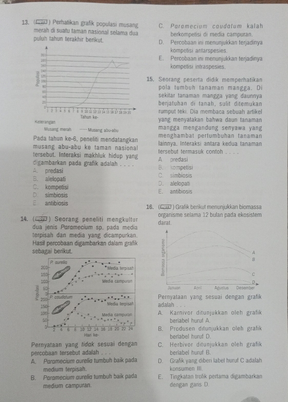 (COH) Perhatikan grafik populasi musang C. Paramecium caudatum kalah
merah di suatu taman nasional selama dua berkompetisi di media campuran.
puluh tahun terakhir berikut. D. Percobaan ini menunjukkan terjadinya
kompetisi antarspesies.
E. Percobaan ini menunjukkan terjadinya
kompetisi intraspesies.
15. Seorang peserta didik memperhatikan
pola tumbuh tanaman mangga. Di
sekitar tanaman mangga yang daunnya
berjatuhan di tanah, sulit ditemukan
rumput teki. Dia membaca sebuah artikel
yang menyatakan bahwa daun tanaman
mangga mengandung senyawa yang
Musang merah  Musang abu-abu
Pada tahun ke-6, peneliti mendatangkan menghambat pertumbuhan tanaman
lainnya. Interaksi antara kedua tanaman
musang abu-abu ke taman nasional tersebut termasuk contoh . . . .
tersebut. Interaksi makhluk hidup yang
digambarkan pada grafik adalah . . . . A predasi
A. predasi B. kompetisi
B. alelopati C. simbiosis
C. kompetisi D. alelopati
D. simbiosis E. antibiosis
E antibiosis 16. (G  ) Grafik berikut menunjukkan biomassa
14. (2) Seorang peneliti mengkultur darat. organisme selama 12 bulan pada ekosistem
dua jenis Paramecium sp. pada media
terpisah dan media yang dicampurkan.
Hasil percobaan digambarkan dalam grafik

sebagai berikut. A
P. aurelia
B
200 *Medía teroisah
150 C
100 Media campuran D
50 Januan April Agustus Desember
7 200
P caudatum Pernyataan yang sesuai dengan grafik
150 Media terpisal adalah . . .
100 Media campuran A. Karnivor ditunjukkan oleh grafik
50 berlabel huruf A.
2 4 6 B 10 12 14 16 18 20 22 24 B. Produsen ditunjukkan oleh grafik
Han ke- berlabel huruf D.
Pernyataan yang tidak sesuai dengan C. Herbivor ditunjukkan oleh grafik
percobaan tersebut adalah . . . berlabel huruf B.
A. Paramecium aurelia tumbuh baik pada D. Grafik yang diberi label huruf C adalah
medium terpisah. konsumen III.
B. Paramecium aurelia tumbuh baik pada E. Tingkatan trofik pertama digambarkan
medium campuran. dengan garis D.