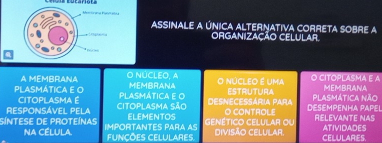 Memtv ana Blanmática 
C 
0 。 ASSINALE A ÚNICA ALTERNATIVA CORRETA SOBRE A 
。 Cxoplasma 
ORGANIZAÇÃO CELULAR, 
。 0 turie 
a 
A MEMBRANA O NÚCLEO, A CLEO É Um O CITOPLASMA E A 
MEMBRANA 。 
PLASMÁTICA E O PLASMÁTICA E O 
ESTRUTURA MEMBRANA 
CITOPLASMA E PLASmÁticA Não 
RESPONSÁVEL PELA CITOPLASMA SÃo DESNECESSÁRIA PARA DESEMPENHA PAPEL 
ELEMENTOS O CONTROLE 
SÍNTESE DE PROTEÍNAS IMPORTANTES PARA AS GENÉTICO CELULAR OU RELEVANTE NAS 
ATIVIDADES 
NA CÉLULA. FUNÇÕES CELULARES. DIVISÃO CELULAR. CELULARES