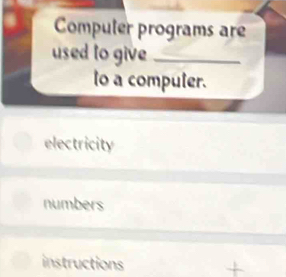 Compuler programs are
used to give_
lo a compuler.
electricity
numbers
instructions