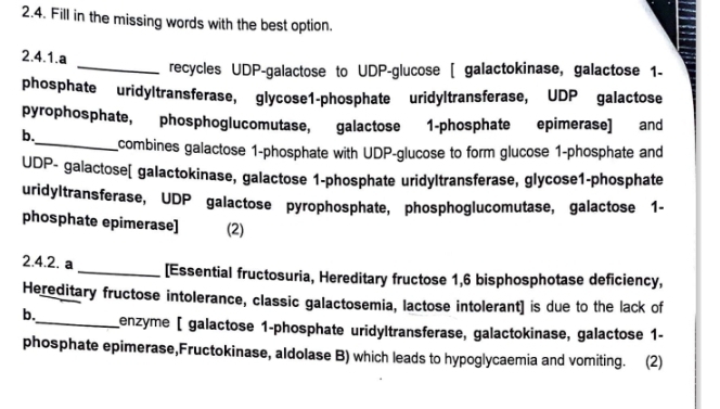 Fill in the missing words with the best option. 
_ 
2.4.1.a 
recycles UDP-galactose to UDP-glucose [ galactokinase, galactose 1- 
phosphate uridyltransferase, glycose1-phosphate uridyltransferase, UDP galactose 
pyrophosphate, phosphoglucomutase, galactose 1-phosphate epimerase] and 
b._ combines galactose 1 -phosphate with UDP-glucose to form glucose 1-phosphate and 
UDP- galactose[ galactokinase, galactose 1-phosphate uridyltransferase, glycose1-phosphate 
uridyltransferase, UDP galactose pyrophosphate, phosphoglucomutase, galactose 1- 
phosphate epimerase] (2) 
2.4.2. a _[Essential fructosuria, Hereditary fructose 1, 6 bisphosphotase deficiency, 
Hereditary fructose intolerance, classic galactosemia, lactose intolerant] is due to the lack of 
b._ enzyme [ galactose 1-phosphate uridyltransferase, galactokinase, galactose 1- 
phosphate epimerase,Fructokinase, aldolase B) which leads to hypoglycaemia and vomiting. (2)