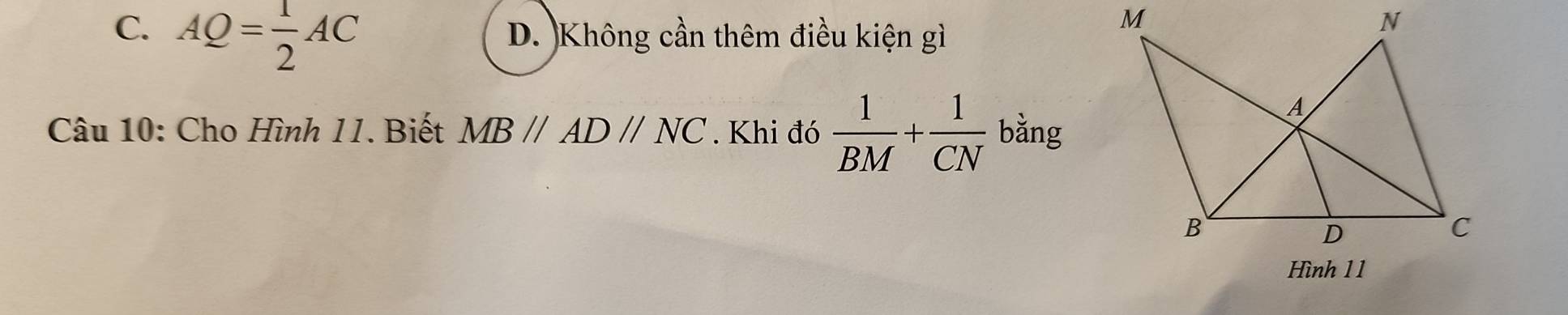 C. AQ= 1/2 AC D. )Không cần thêm điều kiện gì
Câu 10: Cho Hình 11. Biết MBparallel ADparallel NC. Khi đó  1/BM + 1/CN  bằng