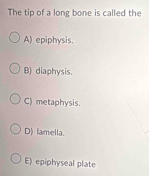 The tip of a long bone is called the
A) epiphysis.
B) diaphysis.
C) metaphysis.
D) lamella.
E) epiphyseal plate