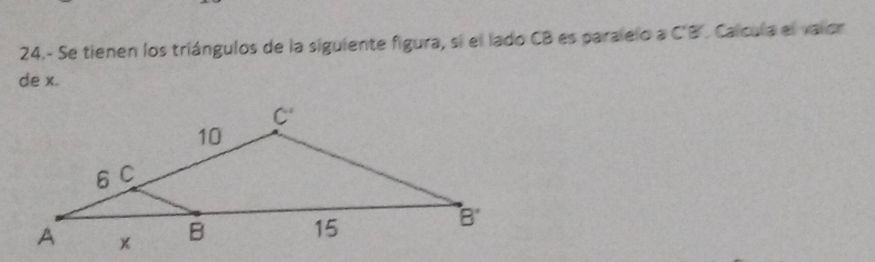 24.- Se tienen los triángulos de la siguiente figura, si el lado CB es paralelo a C'B Calcula el valor
de x.