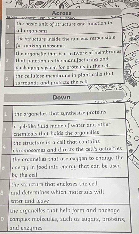 1 
7 
4 
and enzymes