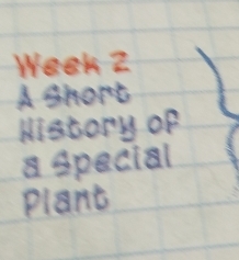 Waeh Z 
A Share 
Mistory of 
a spacial 
plant