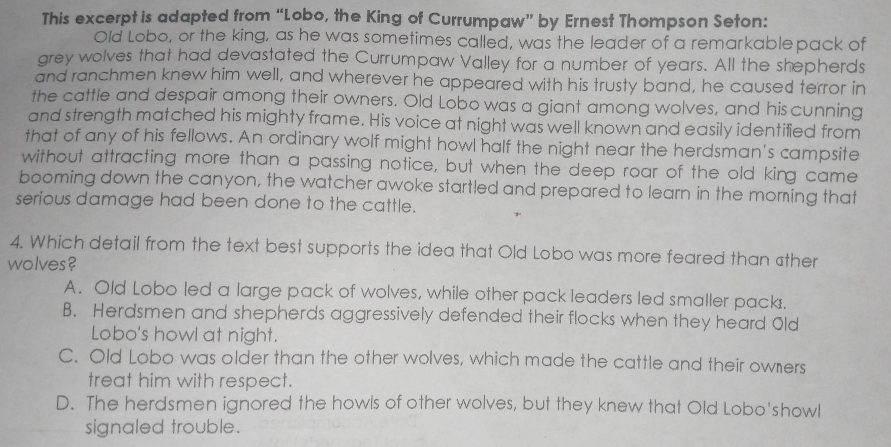 This excerpt is adapted from “Lobo, the King of Currumpaw” by Ernest Thompson Seton:
Old Lobo, or the king, as he was sometimes called, was the leader of a remarkablepack of
grey wolves that had devastated the Currumpaw Valley for a number of years. All the shepherds
and ranchmen knew him well, and wherever he appeared with his trusty band, he caused terror in
the cattle and despair among their owners. Old Lobo was a giant among wolves, and his cunning
and strength matched his mighty frame. His voice at night was well known and easily identified from
that of any of his fellows. An ordinary wolf might howl half the night near the herdsman's campsite
without attracting more than a passing notice, but when the deep roar of the old king came
booming down the canyon, the watcher awoke startled and prepared to learn in the morming that
serious damage had been done to the cattle.
4. Which detail from the text best supports the idea that Old Lobo was more feared than ther
wolves?
A. Old Lobo led a large pack of wolves, while other pack leaders led smaller pack.
B. Herdsmen and shepherds aggressively defended their flocks when they heard Old
Lobo's howl at night.
C. Old Lobo was older than the other wolves, which made the cattle and their owners
treat him with respect.
D. The herdsmen ignored the howls of other wolves, but they knew that Old Lobo'showl
signaled trouble.