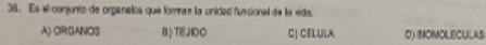 Es el conjunto de organelos que formas la unidad funcional de la vido.
A) ORGANOS BTEHDO C| CEL ULA D) SIOMOLECULAS