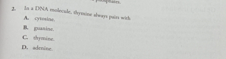 no s hates .
2. In a DNA molecule, thymine always pairs with
A. cytosine.
B. guanine.
C. thymine.
D. adenine.