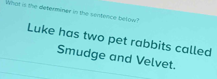 What is the determiner in the sentence below? 
Luke has two pet rabbits called 
Smudge and Velvet.