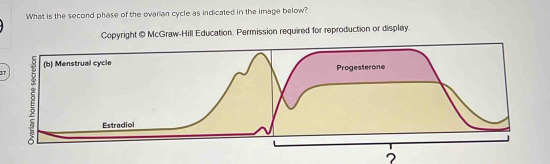 Solved: What is the second phase of the ovarian cycle as indicated in ...