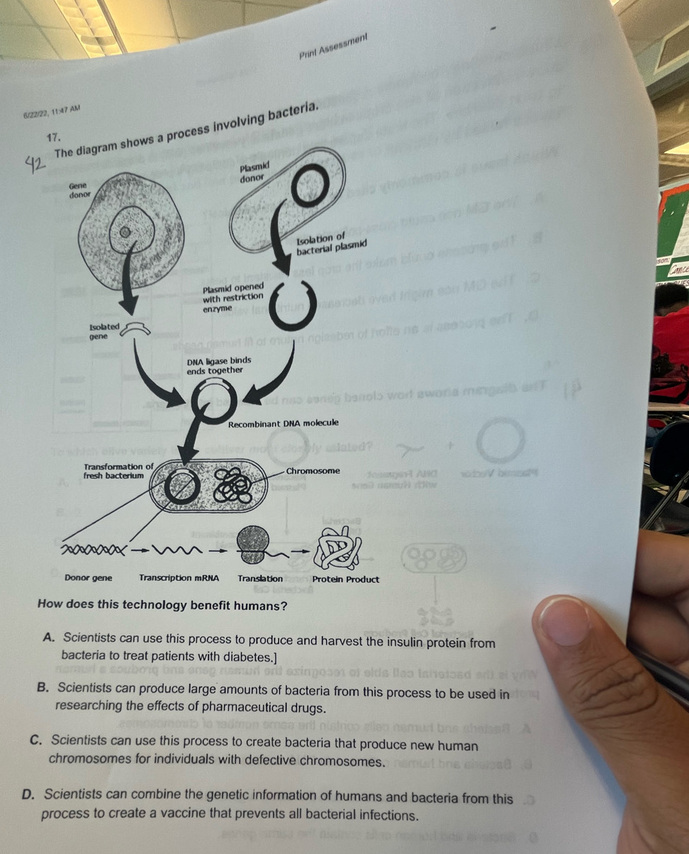 Print Assessment
6/22/22, 11:47 AM
The diagram shows a process involving bacteria.
ance
How does this technology benefit humans?
A. Scientists can use this process to produce and harvest the insulin protein from
bacteria to treat patients with diabetes.]
B. Scientists can produce large amounts of bacteria from this process to be used in
researching the effects of pharmaceutical drugs.
C. Scientists can use this process to create bacteria that produce new human
chromosomes for individuals with defective chromosomes.
D. Scientists can combine the genetic information of humans and bacteria from this
process to create a vaccine that prevents all bacterial infections.