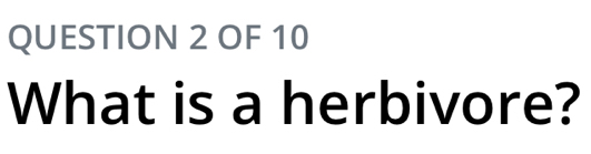 OF 10 
What is a herbivore?