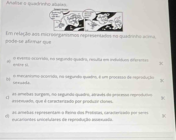 Analise o quadrinho abaixo.
Em relação aos microorganismos representados no quadrinho acima,
pode-se afirmar que
a) o evento ocorrido, no segundo quadro, resulta em indivíduos diferentes
entre si.
b) o mecanismo ocorrido, no segundo quadro, é um processo de reprodução
sexuada.
as amebas surgem, no segundo quadro, através do processo reprodutivo
C)
assexuado, que é caracterizado por produzir clones.
as amebas representam o Reino dos Protistas, caracterizado por seres
d)
eucariontes unicelulares de reprodução assexuada.