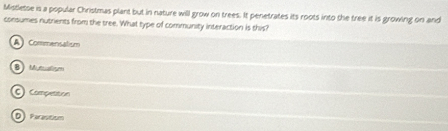 Mistletse is a popular Christmas plant but in nature will grow on trees. It penetrates its roots into the tree it is growing on and
consumes nutrients from the tree. What type of community interaction is this?
A Commensalism
BM
C Compettion
D) Parastism