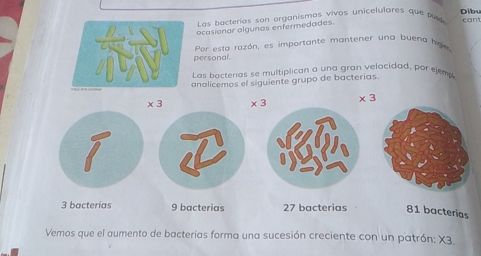 Las bacterias son organismos vivos unicelulares que pu Dibu
ocasionar algunas enfermedades.
cant
Por esta razón, es importante mantener una buena higier
personal.
Las bacterias se multiplican a una gran velocidad, por ejemp
analicemos el siguiente grupo de bacterias.
* 3
* 3
* 3
3 bacterias 9 bacterias 27 bacterias
81 bacterias
Vemos que el aumento de bacterias forma una sucesión creciente con un patrón: X3