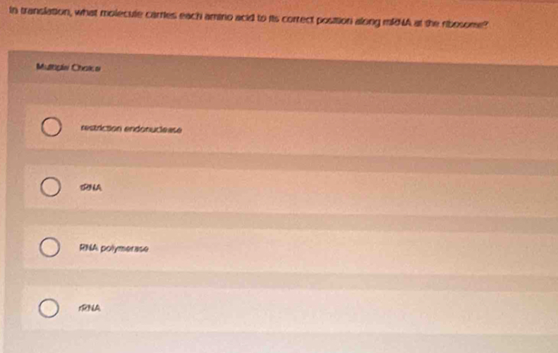 In translation, what molecule carries each amino acid to its correct position along midNA at the ribosome?
Multiçán Chako
restrictión endonuciease
SNA
RNA polymerase
NA