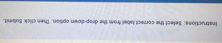 Instructions: Select the correct label from the drop-down option. Then click Submit.