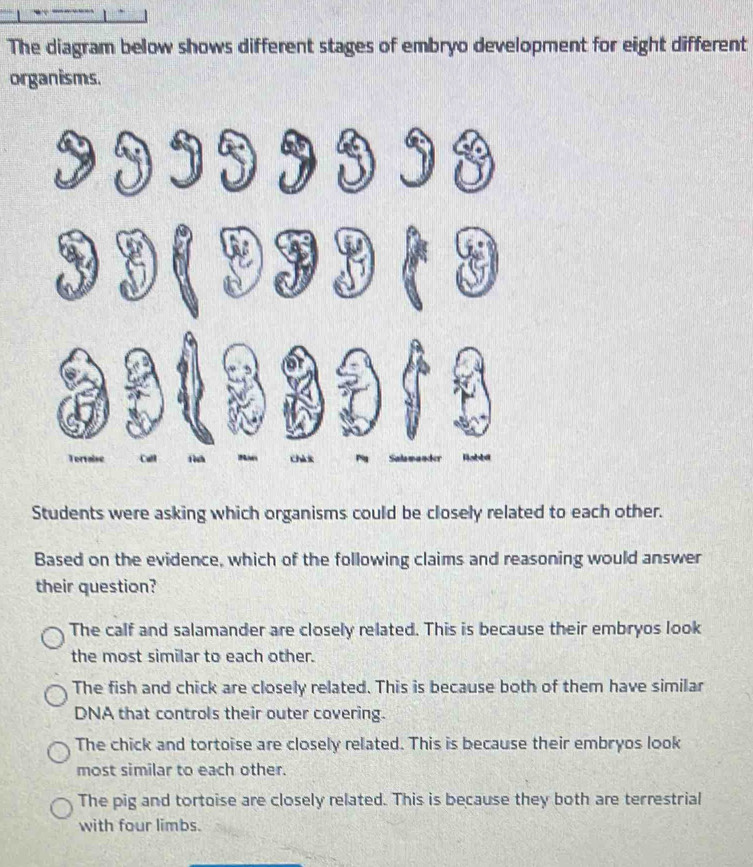 Solved: The diagram below shows different stages of embryo development ...
