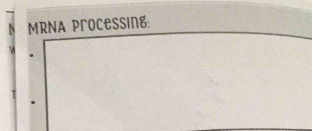 MRNA Processing: