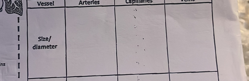 Vessel Arteries Capmanes 
in