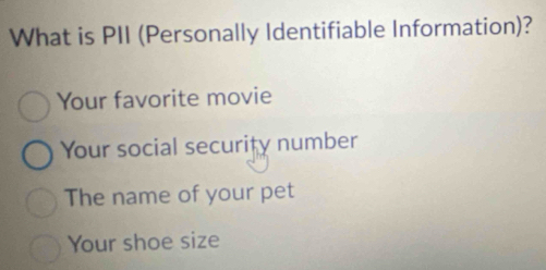 What is PII (Personally Identifiable Information)?
Your favorite movie
Your social security number
The name of your pet
Your shoe size