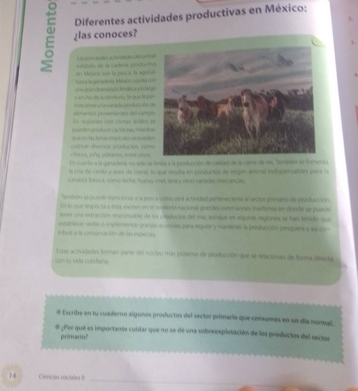 Diferentes actividades productivas en México: 
C ¿las conoces? 
Las principales actividades del prim 
esabón de la cadena producti 
en México son la pesca, la agricu 
Turay la ganadería México cuenta co 
srra gran diversidad dimática a lo tvg 
ancho de su teritório, lo qu p 
L te tener una varada producción d 
alimentos provenientes del camp 
En regiones con climas ánidos s 
pueen produca cactáces, mentr 
que en las zonas tropicales se poede 
cultivar diverros producios, com 

a garadera, no solo se límita a la producción de calidad de la came de res, fambién se forenta 
a en productos de orgen animal indipensables par 
y obras varadas mercancíans 
n eciente a sector pemarso de prosucció 
memion es m arítimas en d ond e s e pu e co 
regiones se hán tenido que 
la producción pesquera y asl co 
stas actvidades forman parte del nuc i eo m a p que se relacionan de forma directa 
o tu vida cotca r 
Escribe en tu cuaderno algunos productos del sector primario que consumes en un día normal. 
¿Por qué es importante cuidar que no se de una sobreexplotación de los productos del sector 
primario? 
_ 
1-1 Ciencias sociales II