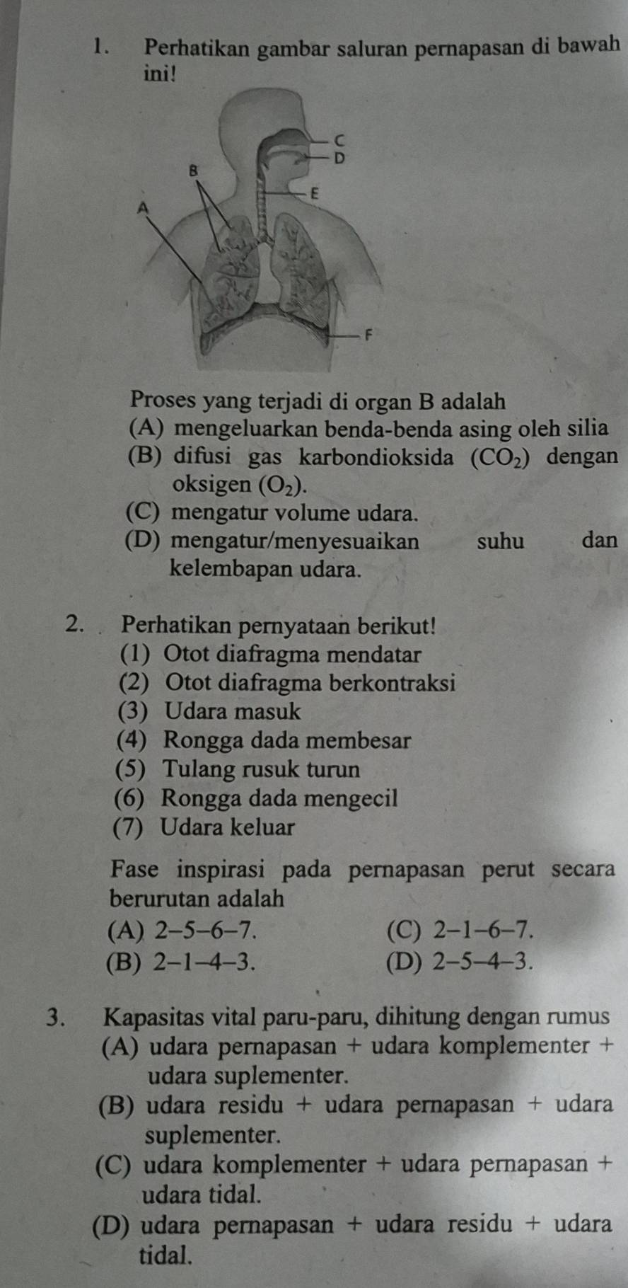 Perhatikan gambar saluran pernapasan di bawah
ini!
Proses yang terjadi di organ B adalah
(A) mengeluarkan benda-benda asing oleh silia
(B) difusi gas karbondioksida (CO_2) dengan
oksigen (O_2).
(C) mengatur volume udara.
(D) mengatur/menyesuaikan suhu dan
kelembapan udara.
2. Perhatikan pernyataan berikut!
(1) Otot diafragma mendatar
(2) Otot diafragma berkontraksi
(3) Udara masuk
(4) Rongga dada membesar
(5) Tulang rusuk turun
(6) Rongga dada mengecil
(7) Udara keluar
Fase inspirasi pada pernapasan perut secara
berurutan adalah
(A) 2 -5 -6 -7. (C) 2-1 - 6-7.
(B) 2 -1 -4 -3. (D) 2-5 - -4-3. 
3. Kapasitas vital paru-paru, dihitung dengan rumus
(A) udara pernapasan + udara komplementer +
udara suplementer.
(B) udara residu + udara pernapasan + udara
suplementer.
(C) udara komplementer + udara pernapasan +
udara tidal.
(D) udara pernapasan + udara residu + udara
tidal.