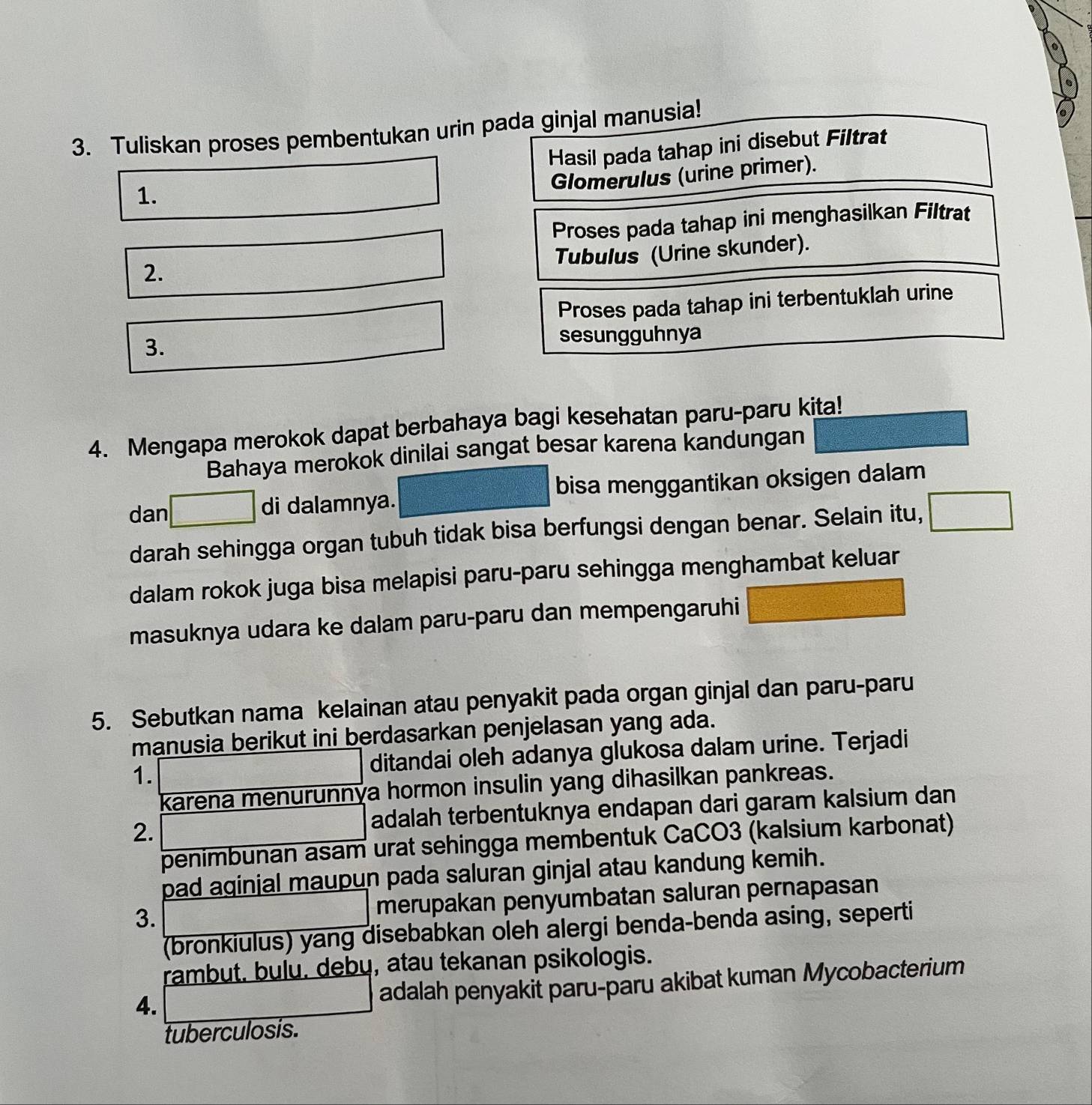 Tuliskan proses pembentukan urin pada ginjal manusia!
Hasil pada tahap ini disebut Filtrat
Glomerulus (urine primer).
1.
Proses pada tahap ini menghasilkan Filtrat
Tubulus (Urine skunder).
2.
Proses pada tahap ini terbentuklah urine
3. sesungguhnya
4. Mengapa merokok dapat berbahaya bagi kesehatan paru-paru kita!
Bahaya merokok dinilai sangat besar karena kandungan
dan di dalamnya. bisa menggantikan oksigen dalam
darah sehingga organ tubuh tidak bisa berfungsi dengan benar. Selain itu,
dalam rokok juga bisa melapisi paru-paru sehingga menghambat keluar
masuknya udara ke dalam paru-paru dan mempengaruhi
5. Sebutkan nama kelainan atau penyakit pada organ ginjal dan paru-paru
manusia berikut ini berdasarkan penjelasan yang ada.
1. ditandai oleh adanya glukosa dalam urine. Terjadi
karena menurunnýa hormon insulin yang dihasilkan pankreas.
2. adalah terbentuknya endapan dari garam kalsium dan
penimbunan asam urat sehingga membentuk CaCO3 (kalsium karbonat)
pad aginjal maupun pada saluran ginjal atau kandung kemih.
3. merupakan penyumbatan saluran pernapasan
(bronkiulus) yang disebabkan oleh alergi benda-benda asing, seperti
rambut. bulu. deby, atau tekanan psikologis.
4.
adalah penyakit paru-paru akibat kuman Mycobacterium
tuberculosis.