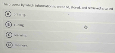 The process by which information is encoded, stored, and retrieved is called
A priming.
B cueing.
C learning
D memory.