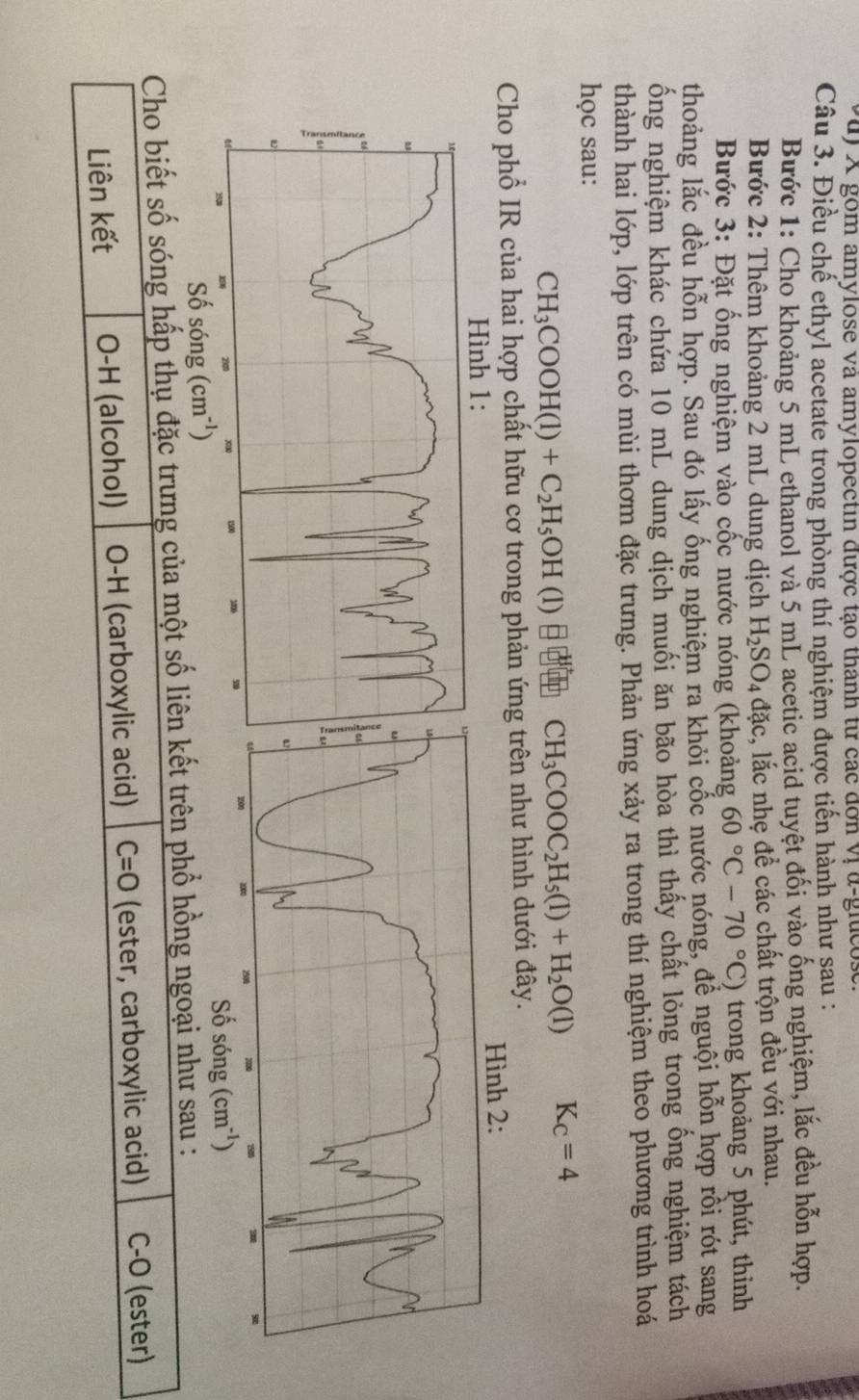 Vuj X gom amylose và amylopectin được tạo thành từ các đơn vị α-gluco:
Câu 3. Điều chế ethyl acetate trong phòng thí nghiệm được tiến hành như șau :
Bước 1: Cho khoảng 5 mL ethanol và 5 mL acetic acid tuyệt đối vào ống nghiệm, lắc đều hỗn hợp.
Bước 2: Thêm khoảng 2 mL dung dịch H_2SO_4 đặc, lắc nhẹ để các chất trộn đều với nhau.
Bước 3: Đặt ống nghiệm vào cốc nước nóng (khoảng 60°C-70°C) trong khoảng 5 phút, thinh
thoảng lắc đều hỗn hợp. Sau đó lấy ống nghiệm ra khỏi cốc nước nóng, để nguội hỗn hợp rồi rót sang
ống nghiệm khác chứa 10 mL dung dịch muối ăn bão hòa thì thấy chất lỏng trong ống nghiệm tách
thành hai lớp, lớp trên có mùi thơm đặc trưng. Phản ứng xảy ra trong thí nghiệm theo phương trình hoá
học sau:
CH_3COOH(1)+C_2H_5OH (l) CH_3COOC_2H_5(l)+H_2O(l) K_C=4
Cho phổ IR của hai hợp chất hữu cơ trong phản ứng trên như hình dưới đây.
Số sóng (cm^(-1))
Cho biết số sóng hấp thụ đặc trưng của một số liên kết trên phổ hồng ngoại như sau :
Liên kết O-H (alcohol) O-H (carboxylic acid) C=O (ester, carboxylic acid) C-O (ester)