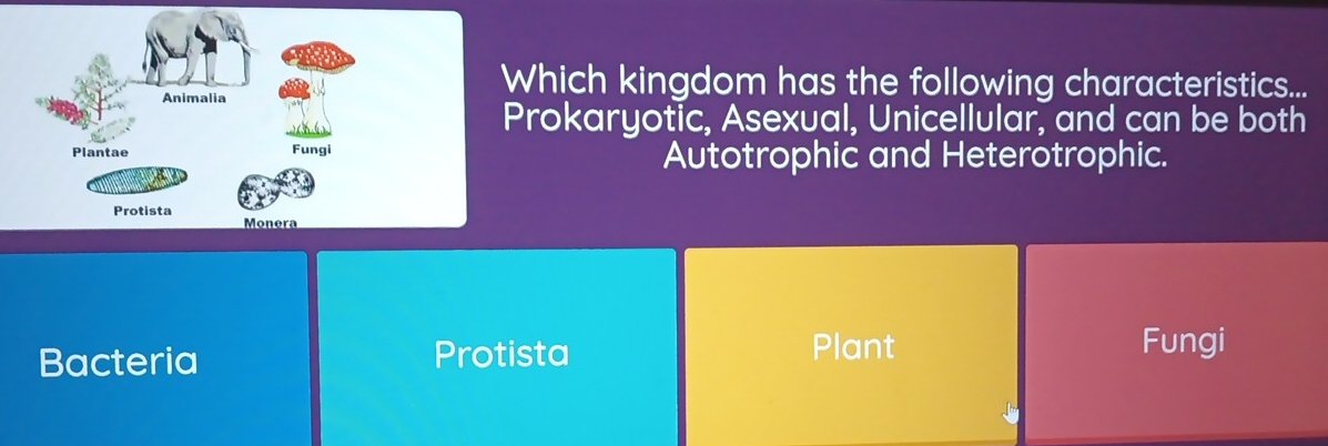 Which kingdom has the following characteristics...
Prokaryotic, Asexual, Unicellular, and can be both
Autotrophic and Heterotrophic.
Bacteria Protista
Plant Fungi