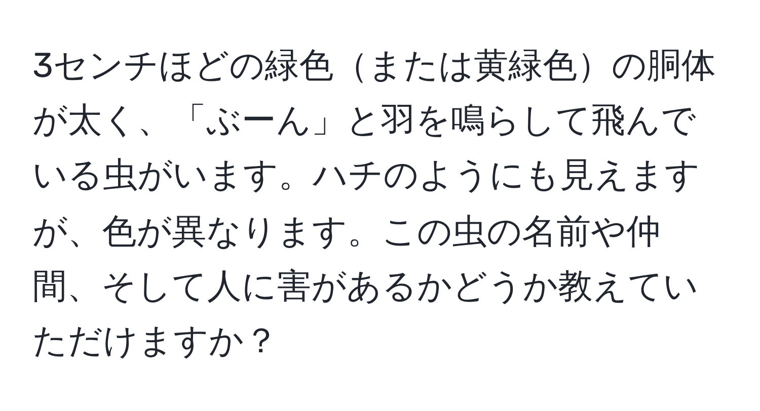 3センチほどの緑色または黄緑色の胴体が太く、「ぶーん」と羽を鳴らして飛んでいる虫がいます。ハチのようにも見えますが、色が異なります。この虫の名前や仲間、そして人に害があるかどうか教えていただけますか？