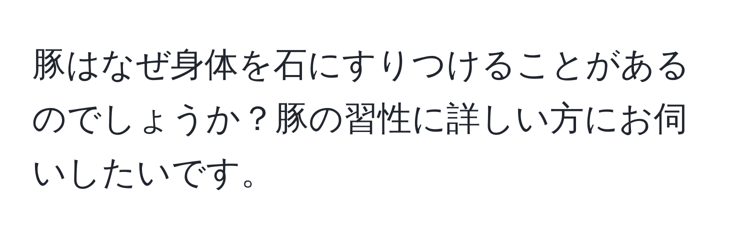 豚はなぜ身体を石にすりつけることがあるのでしょうか？豚の習性に詳しい方にお伺いしたいです。