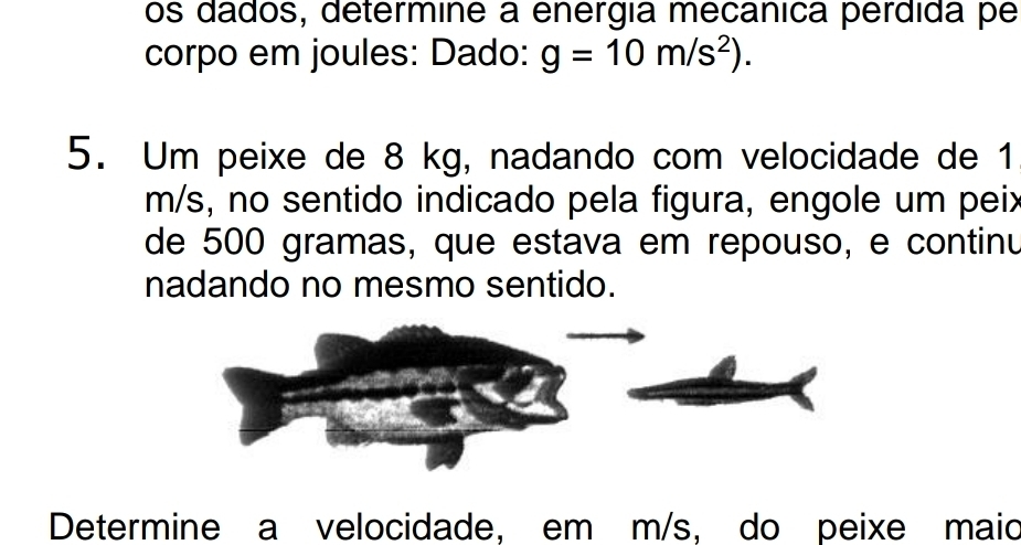 os dados, determine a enérgía mecânica perdida pe 
corpo em joules: Dado: g=10m/s^2). 
5. Um peixe de 8 kg, nadando com velocidade de 1
m/s, no sentido indicado pela figura, engole um peix 
de 500 gramas, que estava em repouso, e continu 
nadando no mesmo sentido. 
Determine a velocidade, em m/s, do peixe maid