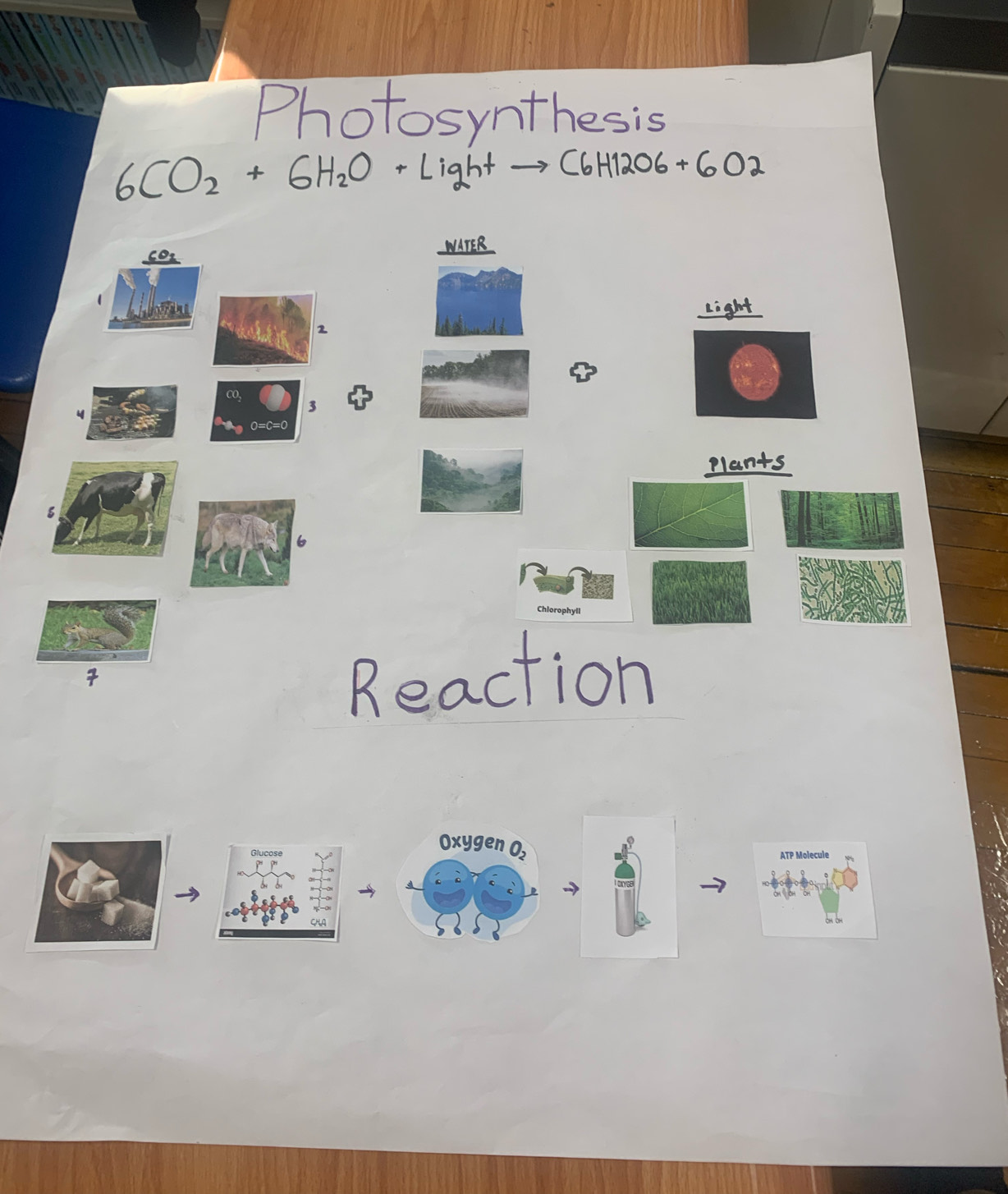 Photosynthesis
→  C6 H1206+  6 O2
IATER
Light
2
co, 3
O=C=O
plants
Chlorophyll
7
Reaction
Oxygen 
ATP Molecule
→