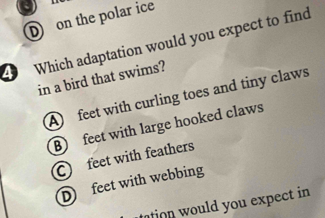 a
D on the polar ice
4 Which adaptation would you expect to find
in a bird that swims?
A feet with curling toes and tiny claws
B) feet with large hooked claws
C feet with feathers
D feet with webbing
tation would you expect in