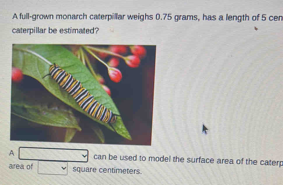 A full-grown monarch caterpillar weighs 0.75 grams, has a length of 5 cen 
caterpillar be estimated? 
A □ can be used to model the surface area of the caterp 
area of □ square centimeters.