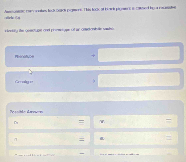 Amelanistic corn snakes lack black pigment. This tack of black pigment is caused by a recessive
allete (b).
identify the genotype and phenotype of an amelanistic snake.
Phenotype
Genotype
Possible Answers
Rr
BB

I
Bb

Cmu and black nattom = Dad and whits nattam =