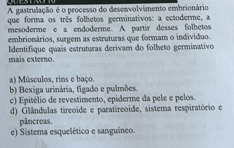 A gastrulação é o processo do desenvolvimento embrionário
que forma os três folhetos germinativos: a ectoderme, a
mesoderme e a endoderme. A partir desses folhetos
embrionários, surgem as estruturas que formam o indivíduo.
Identifique quais estruturas derivam do folheto germinativo
mais externo.
a) Músculos, rins e baço.
b) Bexiga urinária, figado e pulmões.
c) Epitélio de revestimento, epiderme da pele e pelos.
d) Glândulas tireoide e paratireoide, sistema respiratório e
pâncreas.
e) Sistema esquelético e sanguíneo.