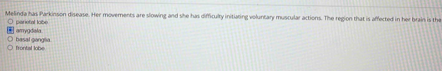 Melinda has Parkinson disease. Her movements are slowing and she has difficulty initiating voluntary muscular actions. The region that is affected in her brain is the
parietal lobe
amygdala.
basal ganglia.
frontal lobe