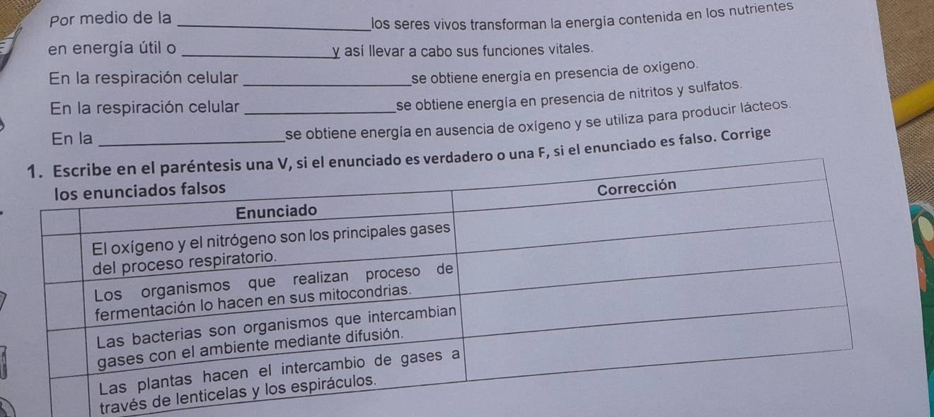 Por medio de la_ 
los seres vivos transforman la energía contenida en los nutrientes 
en energía útil o _y así llevar a cabo sus funciones vitales. 
En la respiración celular_ 
se obtiene energía en presencia de oxígeno. 
En la respiración celular_ 
se obtiene energía en presencia de nitritos y sulfatos. 
En la 
se obtiene energía en ausencia de oxígeno y se utiliza para producir lácteos. 
na F, si el enunciado es falso. Corrige 
través