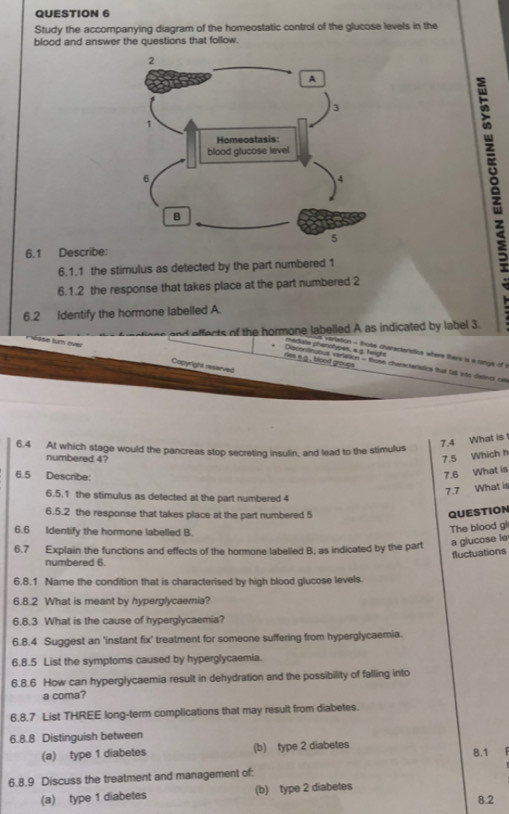 Study the accompanying diagram of the homeostatic control of the glucose levels in the 
blood and answer the questions that follow. 
6.1 Describe: 
6.1.1 the stimulus as detected by the part numbered 1
6.1.2 the response that takes place at the part numbered 2
6.2 Identify the hormone labelled A. 
nd effects of the hormone labelled A as indicated by label 3. 
mediale pherotypes, ε 5 height La vertation - those charactanatice where there is a ninge of i 
W a se tum ove Copyright reserved 
es a g , blood groupe . Dissonlinutus verietion - those charecteratics that fall into dielect oa 
6.4 At which stage would the pancreas stop secreting insulin, and lead to the stimulus 
7.4 What is 
numbered 4? 
7.5 Which h 
6.5 Describe: 
7.6 What is 
6.5.1 the stimulus as detected at the part numbered 4
7.7 What is 
6.5.2 the response that takes place at the part numbered 5 QUESTION 
6.6 Identify the hormone labelled B. 
The blood gl 
6.7 Explain the functions and effects of the hormone labelled B, as indicated by the part a glucose le 
fluctuations 
numbered 6. 
6.8.1 Name the condition that is characterised by high blood glucose levels. 
6.8.2 What is meant by hyperglycaemia? 
6.8.3 What is the cause of hyperglycaemia? 
6.8.4 Suggest an 'instant fix' treatment for someone suffering from hyperglycaemia. 
6.8.5 List the symptoms caused by hyperglycaemia. 
6.8.6 How can hyperglycaemia result in dehydration and the possibility of falling into 
a coma? 
6.8.7 List THREE long-term complications that may result from diabetes. 
6.8.8 Distinguish between 
(a) type 1 diabetes (b) type 2 diabetes 8.1 
6.8.9 Discuss the treatment and management of: 
(a) type 1 diabetes (b) type 2 diabetes 8.2