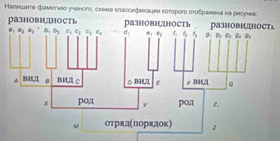 Налишите фамилиюо ученого, схема классификации которого отображена